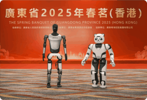 China and the Global Robotics Race