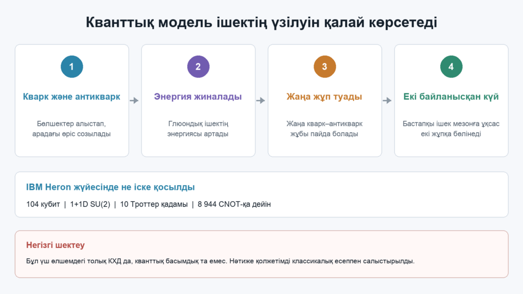 Глюондық ішектің созылуы, кварк жұбының пайда болуы және екі байланысқан күйдің қалыптасуы туралы инфографика